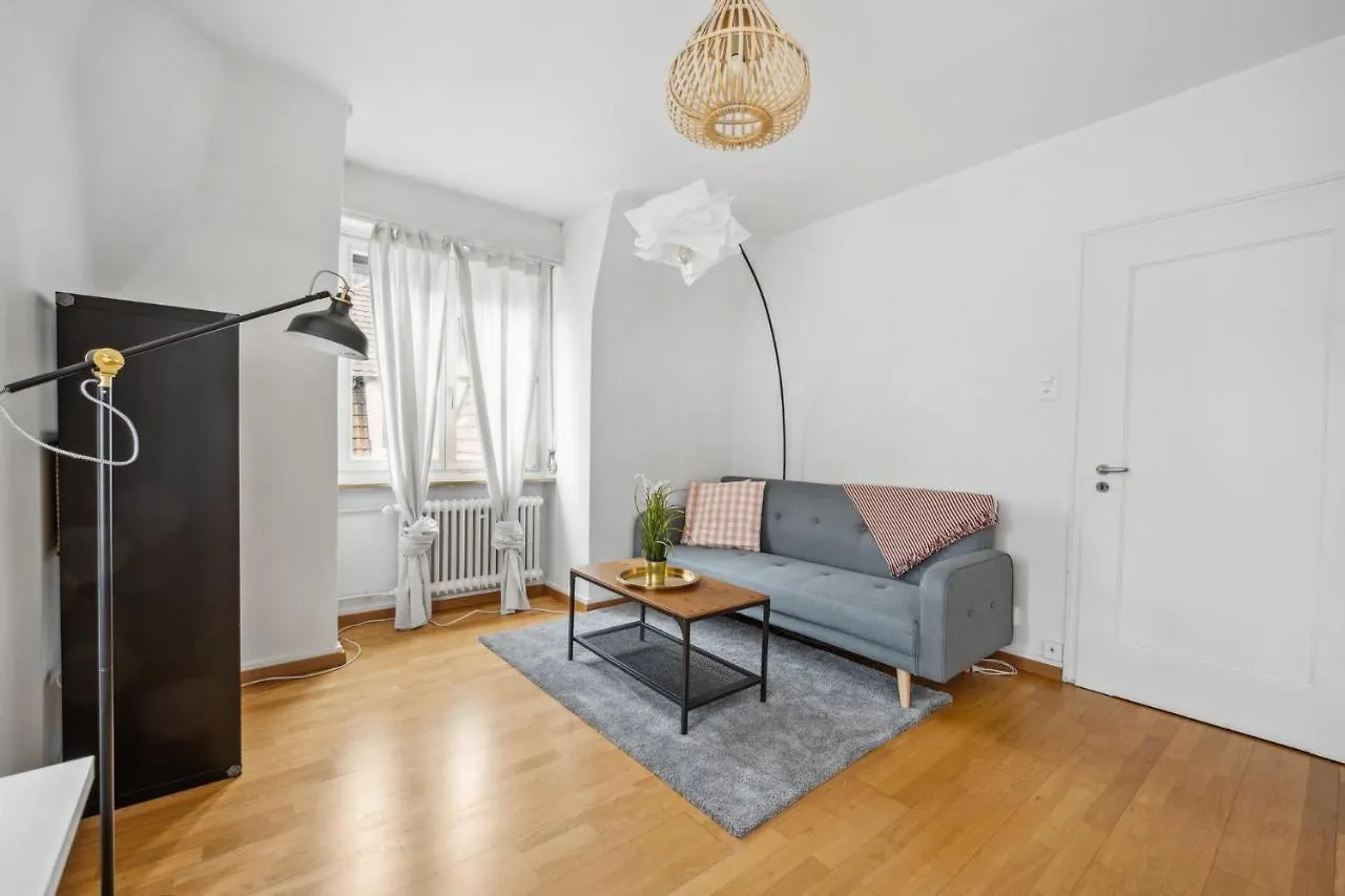 Cozy Apartment In The Heard Of Zurich Sonnegg Switzerland